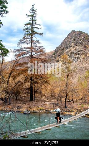 Alleinstehende Seniorin mit ihrem schwarzen Labor, die über eine Metallbrücke über dem Tieton River im Tieton River Canyon im Zentrum von Washington wandert. Stockfoto