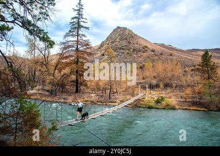 Alleinstehende Seniorin mit ihrem schwarzen Labor, die über eine Metallbrücke über dem Tieton River im Tieton River Canyon im Zentrum von Washington wandert. Stockfoto