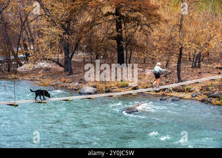 Alleinstehende Seniorin mit ihrem schwarzen Labor, die über eine Metallbrücke über dem Tieton River im Tieton River Canyon im Zentrum von Washington wandert. Stockfoto