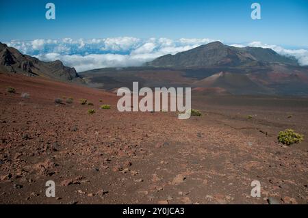 Haleakala National Park Caldera, oberhalb der Wolken Stockfoto