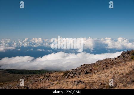 Haleakala National Park Caldera, oberhalb der Wolken Stockfoto