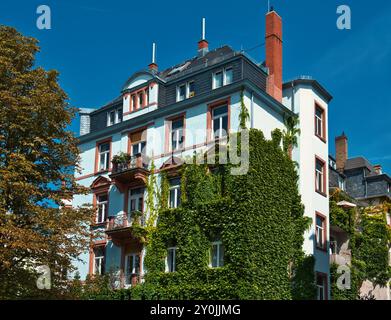 Ein wunderschönes, historisches Haus mit einer weißen Fassade und grünen Kletterreben auf einer Seite Stockfoto