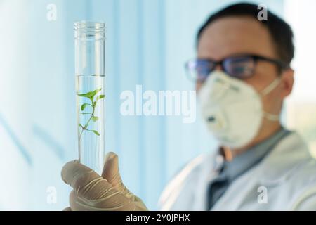 Gutaussehender männlicher Mikrobiologe, der grüne Pflanzen in einem Reagenzglas ansieht. Laborbiologe führt Experimente durch. Medizinwissenschaftler, der in einem modernen s arbeitet Stockfoto