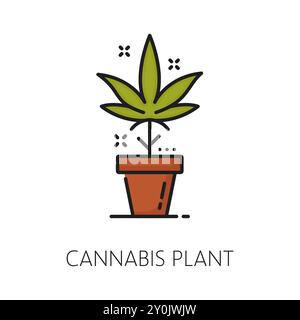 Medizinischer Cannabis-Sämling Pflanze Farblinie Symbol. Lineares Zeichen für medizinische Marihuana-Droge, natürliches CBD-Geschäft oder Medizin-Cannabis-Produktlinie Vektor-Symbol oder Piktogramm mit Marihuana-Pflanze im Topf Stock Vektor