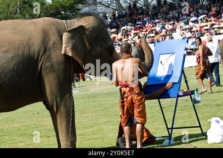 Die bunte Elefantenrunde in Surin, Thailand. Stockfoto
