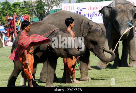 Die bunte Elefantenrunde in Surin, Thailand. Stockfoto