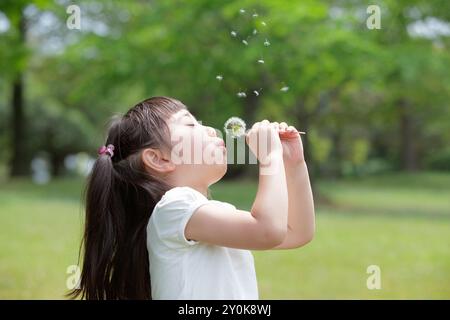 Mädchen, das Löwenzahn-Flaum bläst Stockfoto