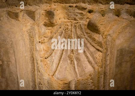 Hauptstadt mit Pilgermuscheln nach Santiago, Kloster Santa María la Real de Iranzu, Kreuzgang, 12. - 14. Jahrhundert, Jakobsweg, Abárzuza, Navarra Stockfoto