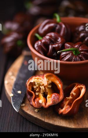 Gereifte Schokoladen-Habanero-Paprika (Paprika Chinense) auf hölzernem Schneidebrett. Sehr heiße mexikanische Paprika auf rustikalem Holztisch aus nächster Nähe Stockfoto