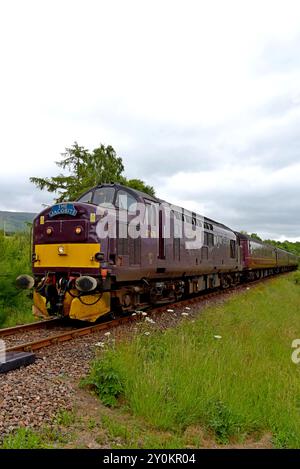 West Coast Rail Diesellok 37676 mit dem Jacobite Richtung Mallaig, nahe der Locheilside Station, 2. Juli 2024 Stockfoto