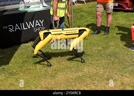 Ein Roboterhund von Boston Dynamics Spot auf der Rail Live, Eisenbahnmesse, Juni 2024 Stockfoto