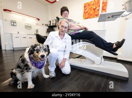 PRODUKTION - 02. September 2024, Hessen, Gießen: Patientin Angelika Derwort sitzt auf dem Behandlungsstuhl ihrer Zahnärztin Ina Zöller (M), während ihr Hund 'Anouk' vor ihr wartet. Der Hund soll eine beruhigende Wirkung auf ängstliche Patienten haben. Foto: Boris Roessler/dpa Stockfoto