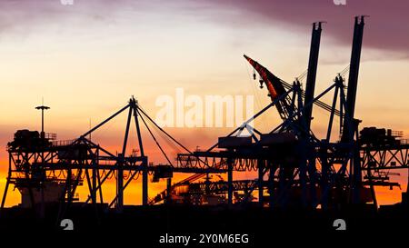 Sonnenuntergang über dem Schiffsterminal APM in der neuen Maasvlakte 2 im Hafen von Rotterdam. Niederlande - 7. September 2013 Stockfoto