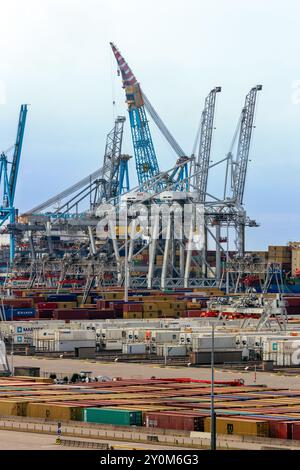 Transportcontainer und Kräne im ECT-Terminal im Rotterdamer Hafen. Niederlande - 8. September 2012 Stockfoto