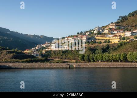 Das Dorf Covelinhas am Ufer des Flusses Douro, von einem Boot aus gesehen, zwischen Peso da Régua und Pinhão in Portugal an einem sonnigen Herbsttag. Stockfoto