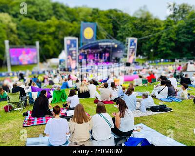 Die Menge versammelte sich auf dem Gras zu einem Outdoor-Musikfestival mit lebhafter Atmosphäre, in der sich Familien und Freunde entspannen. Stockfoto