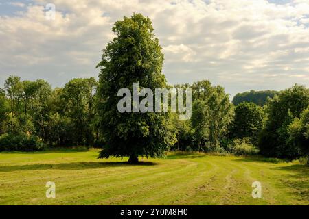 Wunderschöne malerische, üppig grüne englische Landschaft in den Slaughters, Bourton on the Water, Cotswolds, Gloucestershire, England, Großbritannien Stockfoto