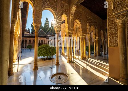 Im Inneren des Alhambra-Palastes, Innenhof, Hof der Löwen mit maurischen Bogensäulen, Säulen, Brunnen und Starburst in Granada, Spanien. Stockfoto