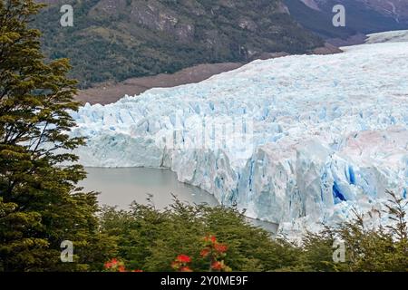 Argentinisches Patagonien: Der Perito Moreno-Gletscher bei El Calafate Stockfoto