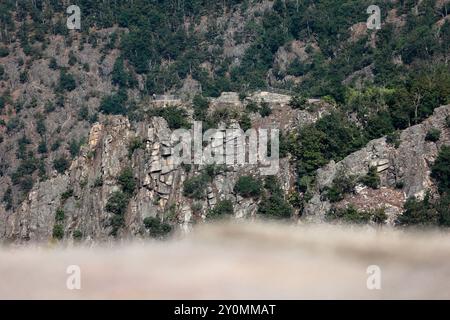 Thale, Deutschland. September 2024. Blick vom Hexentanzplatz auf die Felsen an der Rosstrappe in Thale. Vom Hexentanzplatz aus haben Sie einen Blick über das Bodetal. Der Hexentanzplatz ist eine beliebte Touristenattraktion und zieht viele Besucher an. Am Sonntag ereignete sich ein tragischer Unfall, bei dem ein junger Mann von einer Aussichtsplattform fiel und tödliche Verletzungen erlitt. Quelle: Matthias Bein/dpa/Alamy Live News Stockfoto