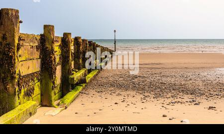 An einem Sandstrand steht ein mit Algen bedeckter hölzerner Wellenbrecher. Im Vordergrund befinden sich Kieselsteine und Schindeln und ein klarer Himmel ist darüber. Stockfoto