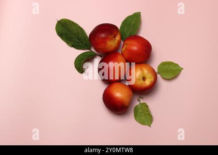 Reife Nektarinen auf rosafarbenem Hintergrund mit Kopierraum. Flach gelegen, Blick von oben auf frisches Obst auf einem Tisch. Konzept für gesunde Ernährung. Stockfoto