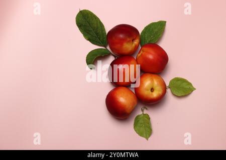 Reife Nektarinen auf rosafarbenem Hintergrund mit Kopierraum. Flach gelegen, Blick von oben auf frisches Obst auf einem Tisch. Konzept für gesunde Ernährung. Stockfoto