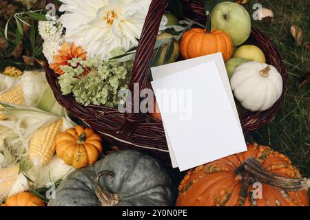 Stillleben im Herbst. Kürbisse, Körner und Dahlienblüten. Äpfel und Trauben Obst im Korb. Herbsternte im Garten. Leere Grußkarte Einladungsmockup Stockfoto