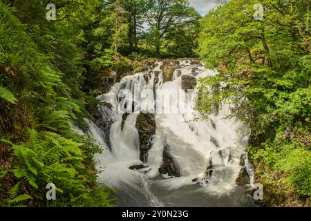 Schwalbenfälle, Betws-y-Coed, Conwy, Wales Stockfoto