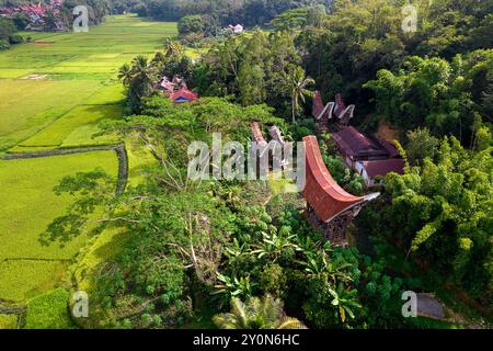 Spektakuläre traditionelle Holzhäuser mit Kunstschnitzereien, umgeben von üppigen Reisterrassen in tana toraja in indonesien, Touristenziel Stockfoto