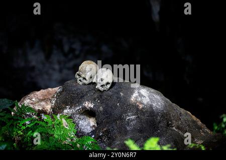 Die historische Grabstätte von Lombok Parinding in Tana Toraja, menschliche Schädel auf einem Felsen in der spektakulären Höhle, Sulawesi, Indonesien Stockfoto