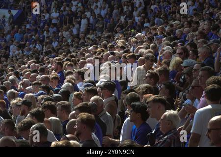 Chelsea vs Crystal Palace, Premier League, Stamford Bridge, Fulham, London, Großbritannien - 1. September 2024 am späten Nachmittag scheint die Sonne auf den Massenfan-Support im Matthew Harding Stand. ;Chelsea Football Club gegen Crystal Palace Football Club im dritten Spiel der Premier League 2024/25 in Stamford Bridge. Stockfoto