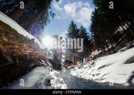 Fantastischer Touristenpfad entlang der winterlichen Bärenschlucht in der Region Almaty in Kasachstan. Atemberaubende Landschaften Zentralasiens Stockfoto
