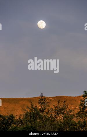 Der fast volle Halbmond erhebt sich über dem Berg Iguaque, in den östlichen Anden Zentral-Kolumbiens, an einem feenklaren Himmel bei Sonnenuntergang. Stockfoto