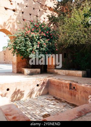 Üppige blühende Bäume umgeben einen kleinen quadratischen Brunnen in einem historischen marokkanischen Innenhof, der wunderschöne Fliesenmuster und warme Erdwände hervorhebt Stockfoto