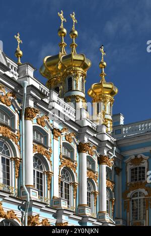 Goldene Kuppeln der Palastkirche im Katharinenpalast in Zarskoje Selo (Puschkin), St. Petersburg, Russland Stockfoto