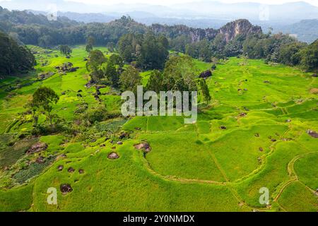 Spektakuläre Landschaft von Batutumonga in Tana Toraja in Sulawesi, wunderschöne Reisfelder umgeben von Wald, Bergen, Indonesien Stockfoto