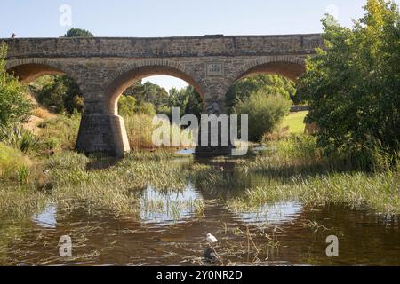 Blick auf die Richmond Bridge, Richmonds berühmtestes Wahrzeichen, erbaut 1823 bis 1825, Tasmanien, Australien Stockfoto