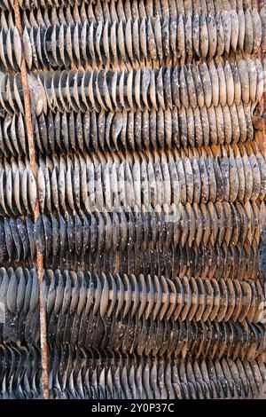 Abstrakte Ansicht von Coupelles (Spatbecher), die in der Austernproduktion verwendet werden, Gujan Mestras, Arcachon, Gironde, Frankreich Stockfoto