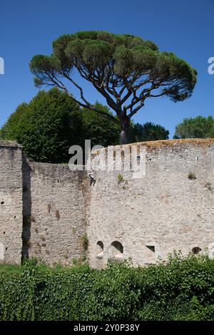 Die Festungsmauern des Chateau de Clisson, Clisson, Loire-Atlantique, Frankreich Stockfoto