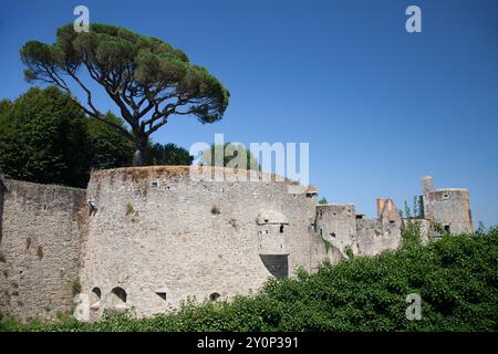 Die Festungsmauern des Chateau de Clisson, Clisson, Loire-Atlantique, Frankreich Stockfoto