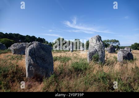 Kermario Standing Stones in der Nähe von Carnac, Bretagne, Frankreich Stockfoto