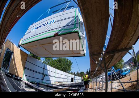 03. September 2024, Mecklenburg-Vorpommern, Stralsund: Mitarbeiter von MOD21-Holzmodulbau bauen auf einem Schulgelände in Stralsund ein Holzmodul. Die Bauarbeiten begannen im Mai 2024 und sollen im November 2024 abgeschlossen sein. Die Vorproduktion der 52 Module im Werk erfolgte innerhalb von acht Wochen. Das zweigeschossige Bauwerk aus Holz wird ein 1780 Quadratmeter großes Pflegegebäude für die Juri Gagarin Grundschule sein. Es verfügt über Spielgruppenräume, eine Küche, Checkrooms, Toiletten, Gebäuderäume und eine Lounge mit Hausaufgabenräumen. Das Unternehmen, das seinen Sitz hat Stockfoto