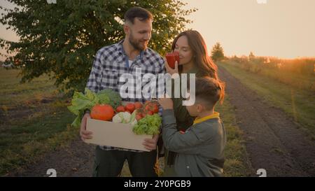 Die kaukasische Familie hält frisches Gemüse in der Box. Glückliche Frau Mutter weiblich kleiner Junge Kind Sohn Mann Vater männlich genießen Vitamin gesunde Lebensmittel Bauernhof Ernte Stockfoto