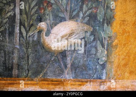 Römisches Fresko, Detail eines Reihers in Pompeji 79 n. Chr Stockfoto