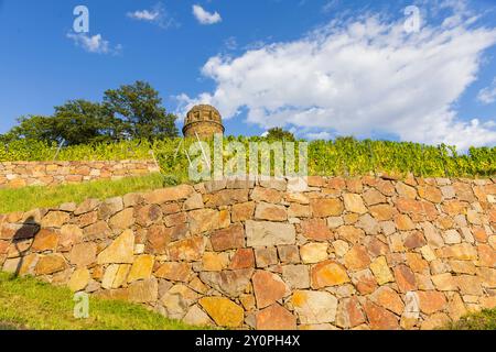 Radebeul Weinhänge der Bismarckturm in Radebeul, auch Bismarcksäule, ist einer von etwa 145 in Deutschland noch existierende Bismarcktürmen zu Ehren des Fürsten Otto von Bismarck 1815 1898. Der Radebeuler Turm wurde von Wilhelm Kreis als individueller Entwurf gestaltet, von Baumeister Alfred große aus Kötzschenbroda erbaut und am 2. September 1907 eingeweiht. Er hat eine Höhe von 18 Metern. Und kann über eine moderne Treppe bestiegen werden. Trockenstützmaern in den Weinhängen. Radebeul Sachsen Deutschland *** Radebeul Weinhänge der Bismarckturm in Radebeul, auch bekannt als Bismarck Colum Stockfoto