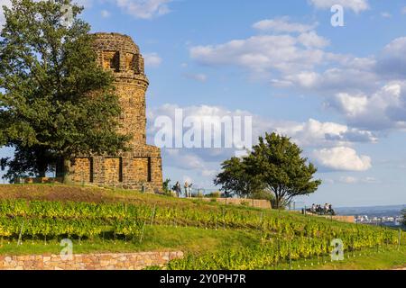 Radebeul Weinhänge der Bismarckturm in Radebeul, auch Bismarcksäule, ist einer von etwa 145 in Deutschland noch existierende Bismarcktürmen zu Ehren des Fürsten Otto von Bismarck 1815 1898. Der Radebeuler Turm wurde von Wilhelm Kreis als individueller Entwurf gestaltet, von Baumeister Alfred große aus Kötzschenbroda erbaut und am 2. September 1907 eingeweiht. Er hat eine Höhe von 18 Metern. Und kann über eine moderne Treppe bestiegen werden. Radebeul Sachsen Deutschland *** Radebeul Weinhänge der Bismarckturm in Radebeul, auch bekannt als Bismarcksäule, ist einer von etwa 145 Bismarcktürmen Stockfoto