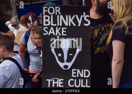 London, Großbritannien. September 2024. Hunderte von Demonstranten versammeln sich auf dem Parlamentsplatz und rufen die Labour-Regierung auf, die Dachsschlachtung zu beenden, die viele Wissenschaftler, Tierärzte, Aktivisten und andere als unwirksam bei der Bekämpfung der TB bei Rindern bezeichnen. Quelle: Vuk Valcic/Alamy Live News Stockfoto