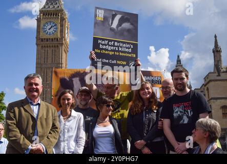 London, Großbritannien. September 2024. Der Naturforscher und Fernsehmoderator Chris Packham und Aktivisten verschiedener Naturschutzgruppen nehmen an der Kundgebung Teil, während sich Hunderte von Demonstranten auf dem Parlamentsplatz versammeln und die Labour-Regierung auffordern, die Dachsschlachtung zu beenden, von der viele Wissenschaftler, Tierärzte, Aktivisten und andere sagen, dass sie im Kampf gegen die TB bei Rindern wirkungslos ist. Quelle: Vuk Valcic/Alamy Live News Stockfoto