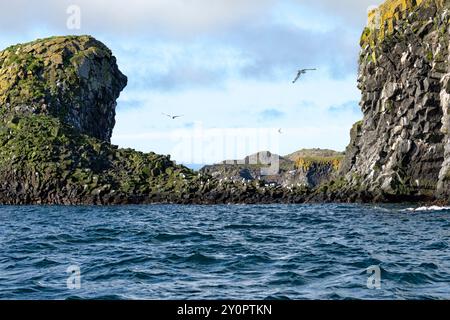 Küste mit Vogelklippen und Felsformationen vom Wasser aus gesehen. Arnastapi, Hellnar, Snæfellsbær, Halbinsel Snæfellsnes, Westisland Stockfoto
